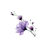 Floral decoration